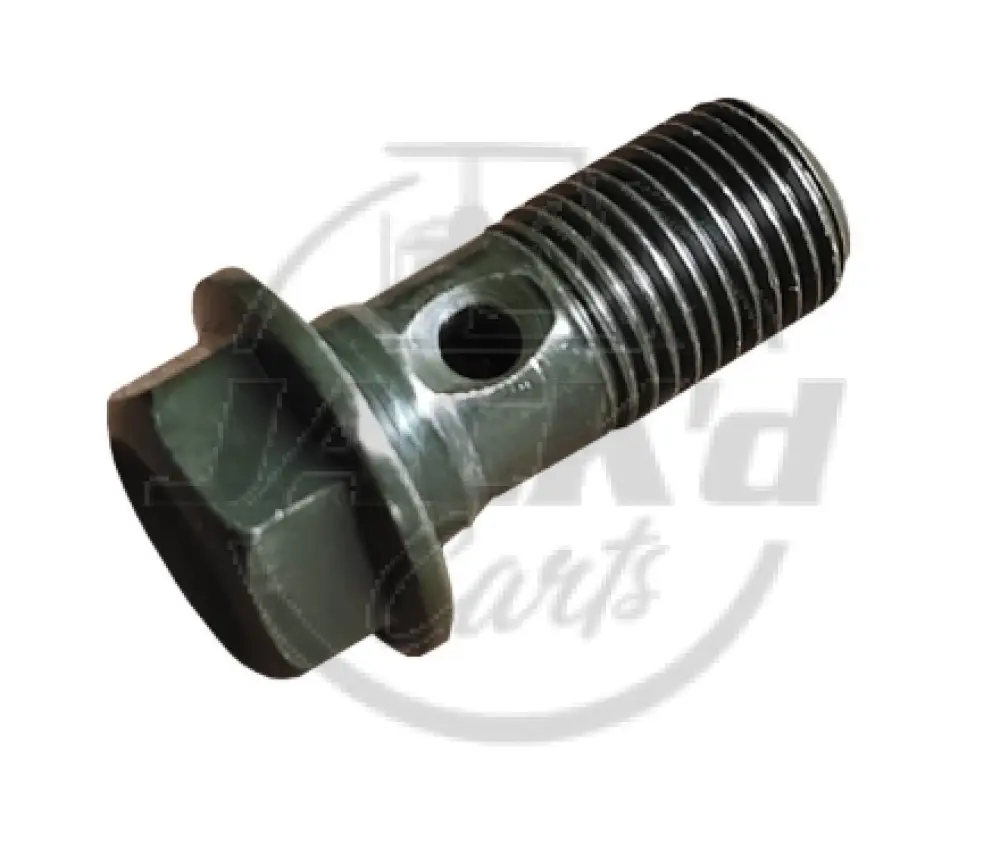 Bolt For Oil Tube, M10*1*22
