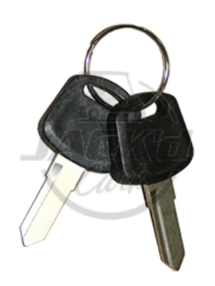 Embryonic Key