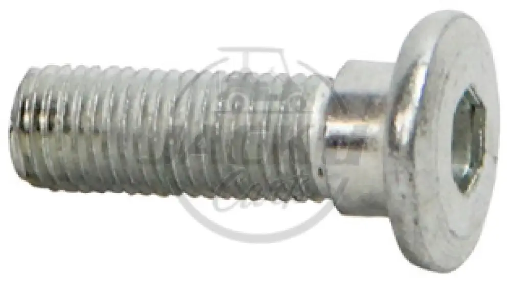 Screw For Brake Rotor Disc