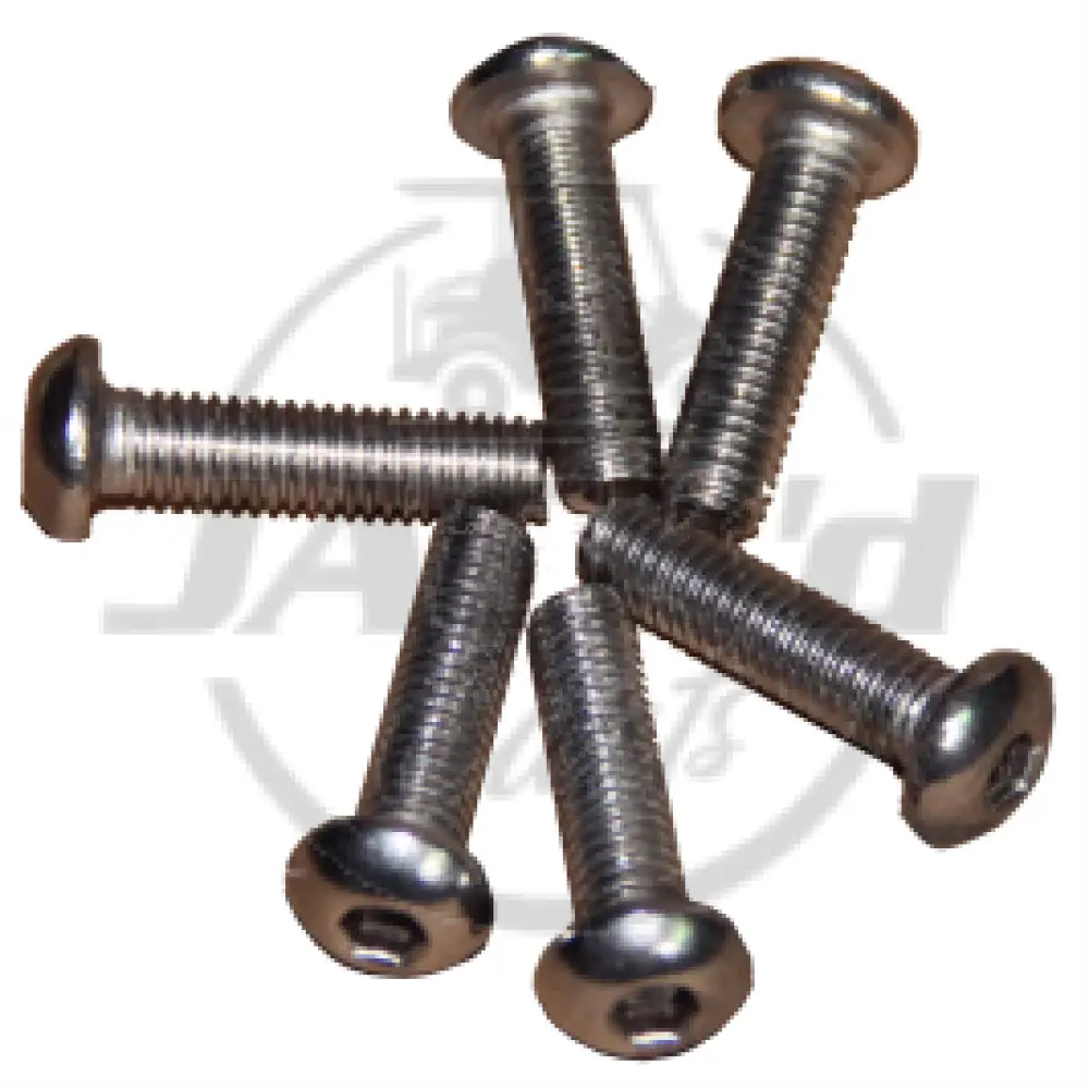 Stainless Steel Hex Socket Head Bolt,M5*20