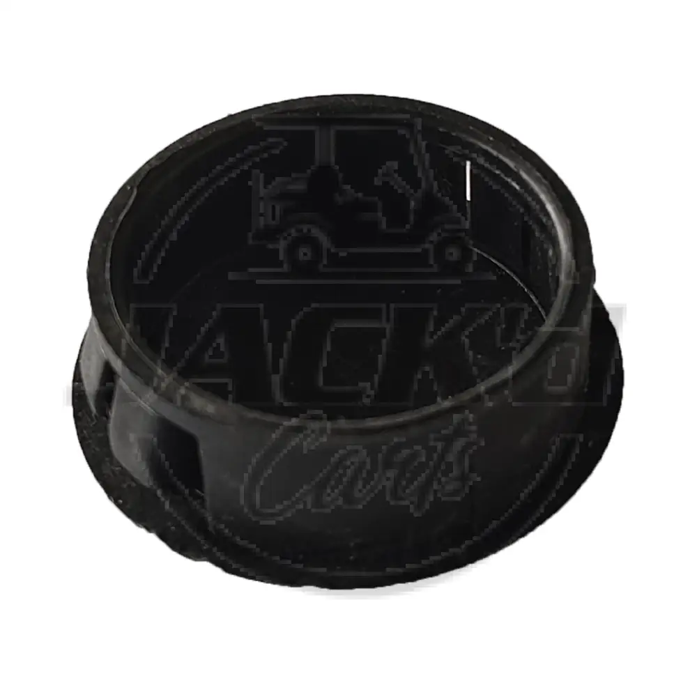 Stainless Steel Pipe Plug
